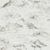 Estuary Birds 216493